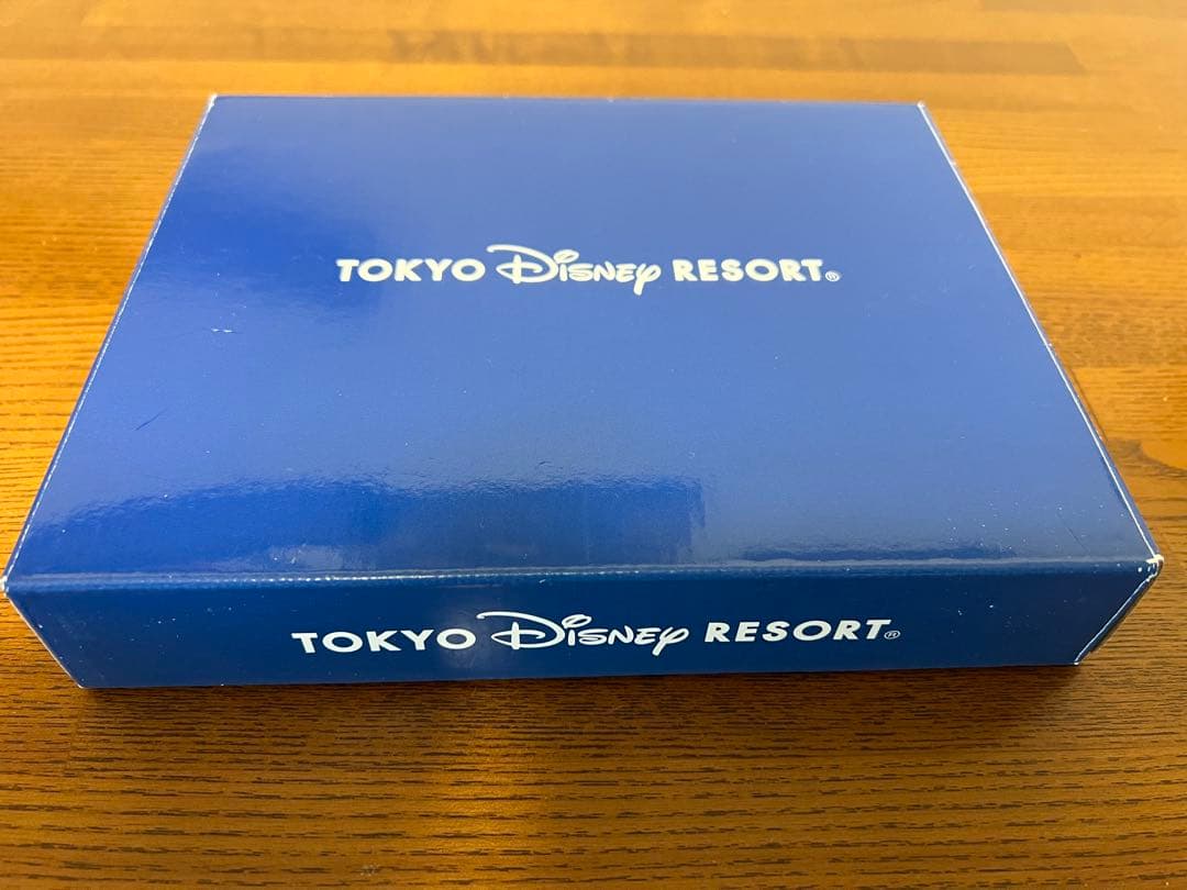 希少美品　ディズニーリゾートピンバッジ