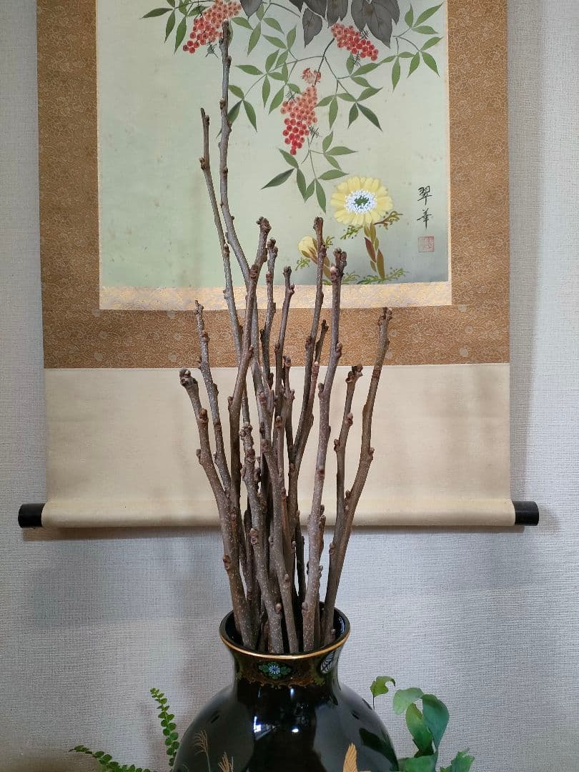 自作苔リング観葉植物＋花瓶（美濃焼　山治陶苑　正峯窯）で床の間に癒しを