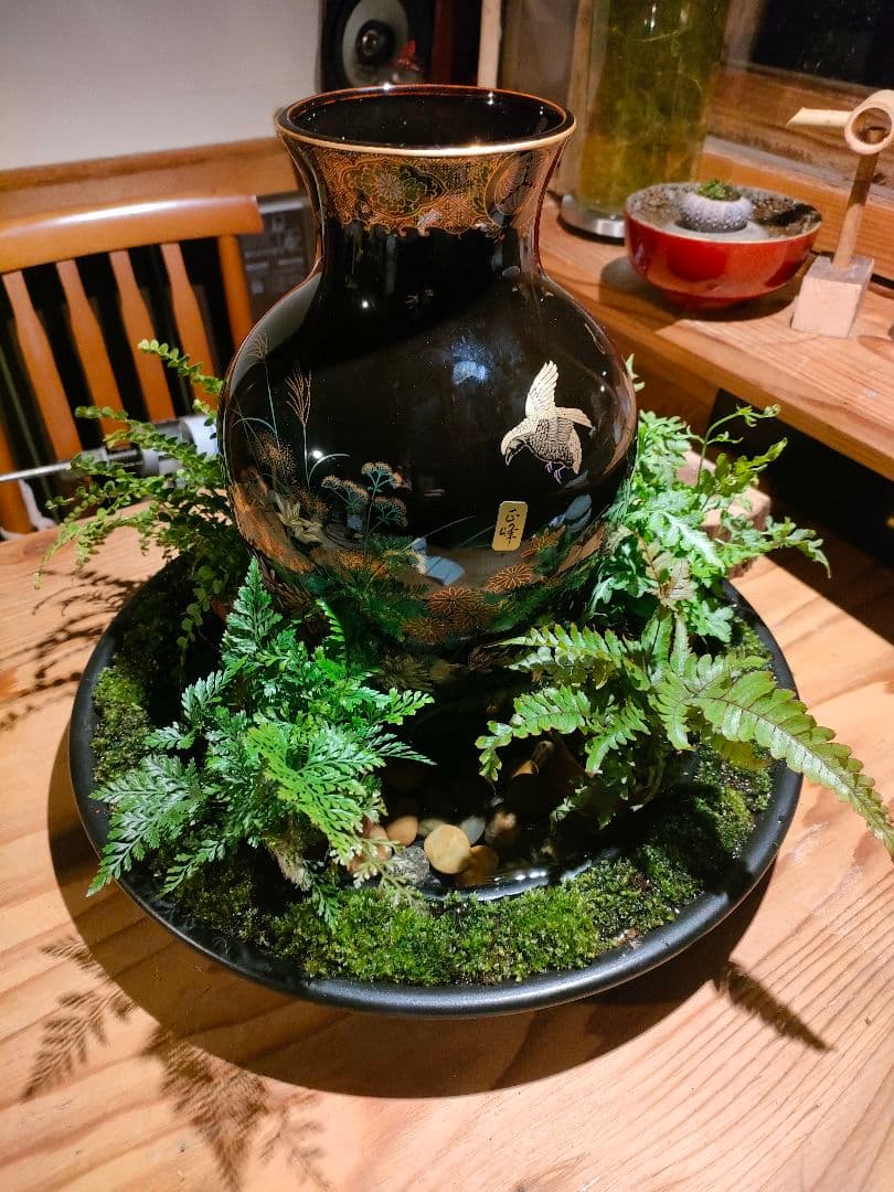 自作苔リング観葉植物＋花瓶（美濃焼　山治陶苑　正峯窯）で床の間に癒しを