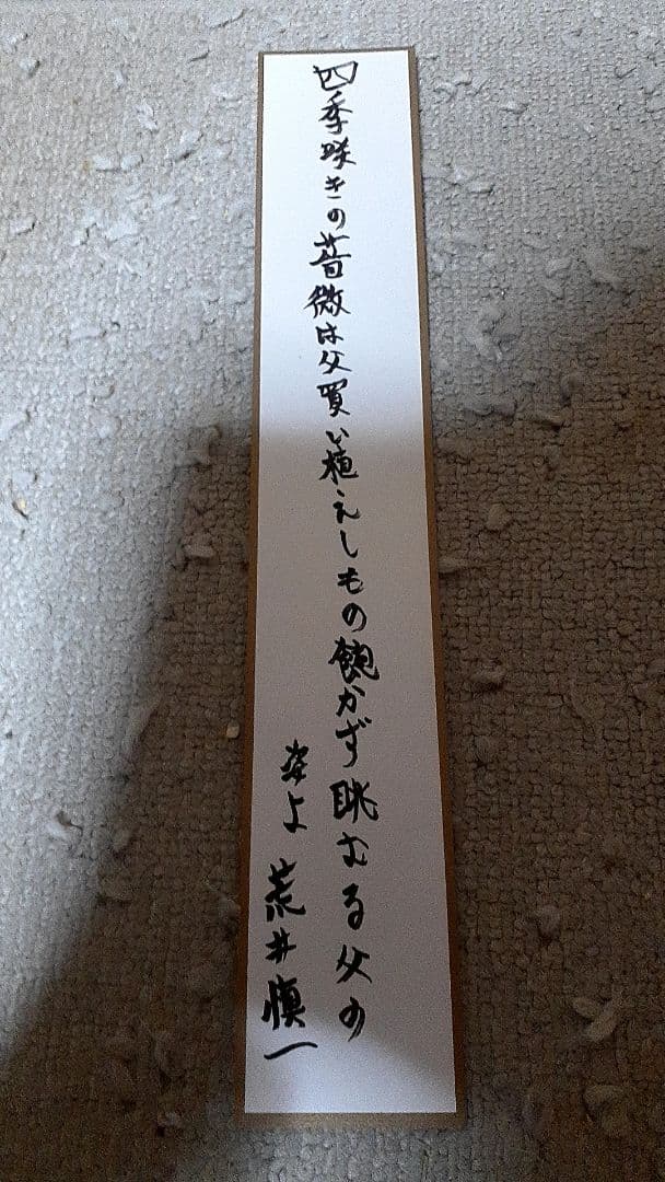 短冊 百日紅の化身 ザルスの華舞 四季咲きの薔薇