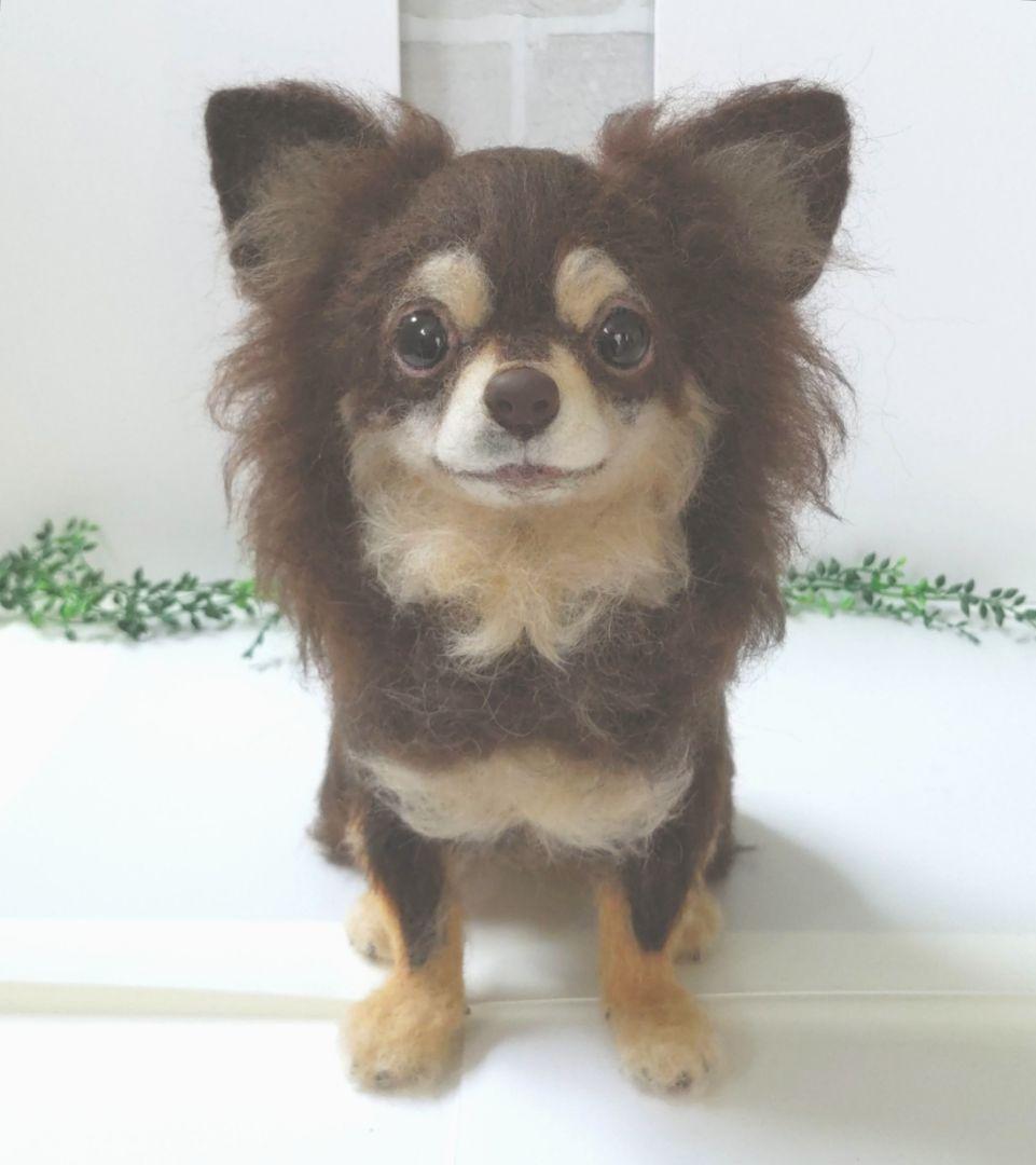 ぱぴ♡♡うちの子オーダー♡羊毛フェルト♪ハンドメイド☆