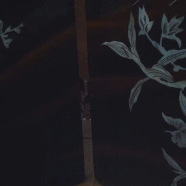 螺鈿細工屏風美品です。