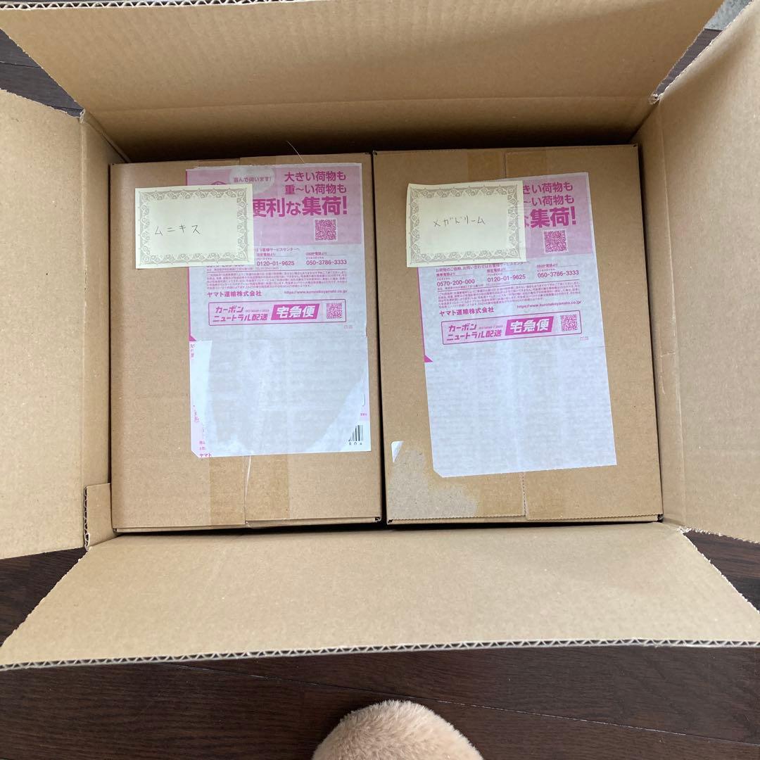 完全未開封　ポケセン産　シュリンク付　メガドリームex　ムニキスゼロ　各1BOX