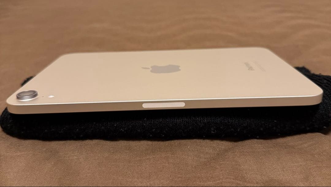 iPad本体 ipadminiA17pro256GB(wifi)+ApplePencilPro