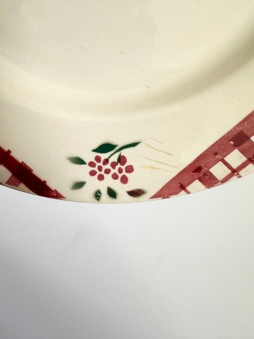 DIGOIN ディゴワン　サルグミンヌ　皿　プレート　フランス　ビンテージ