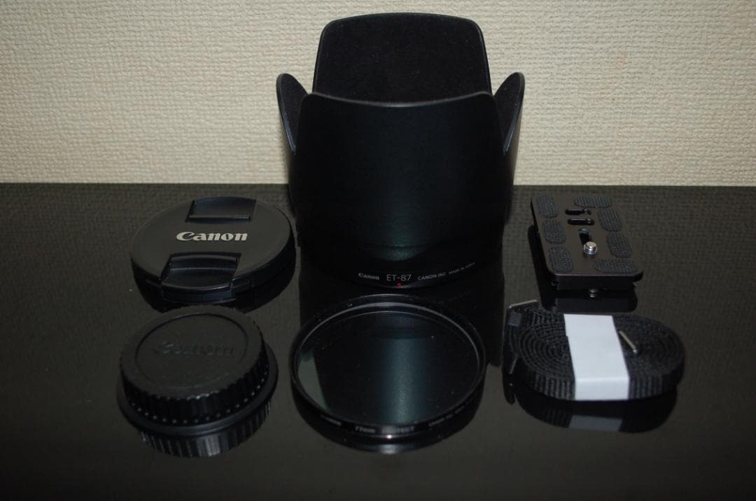 Canon キャノン EF 70-200 f/2.8 L IS III USM
