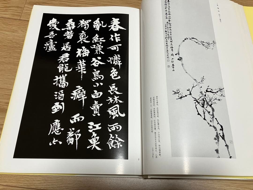 王鐸の書法2冊・呉昌硯の画と賛