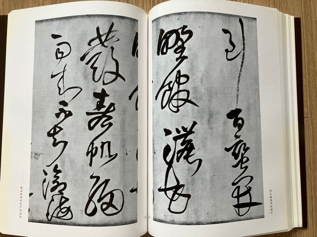 王鐸の書法2冊・呉昌硯の画と賛