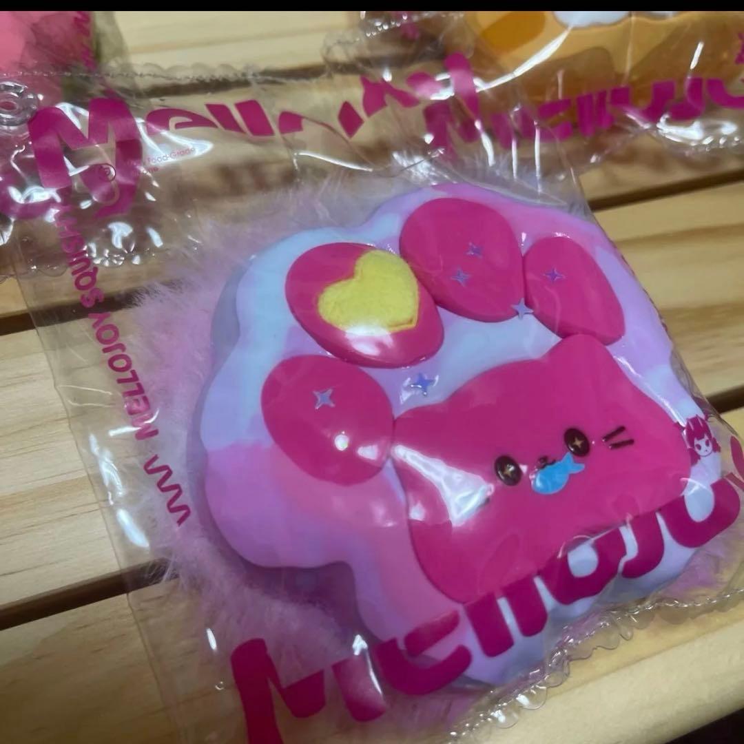 ま*さ様 mellojoy 猫爪　もふもふ　すいか　茶トラ