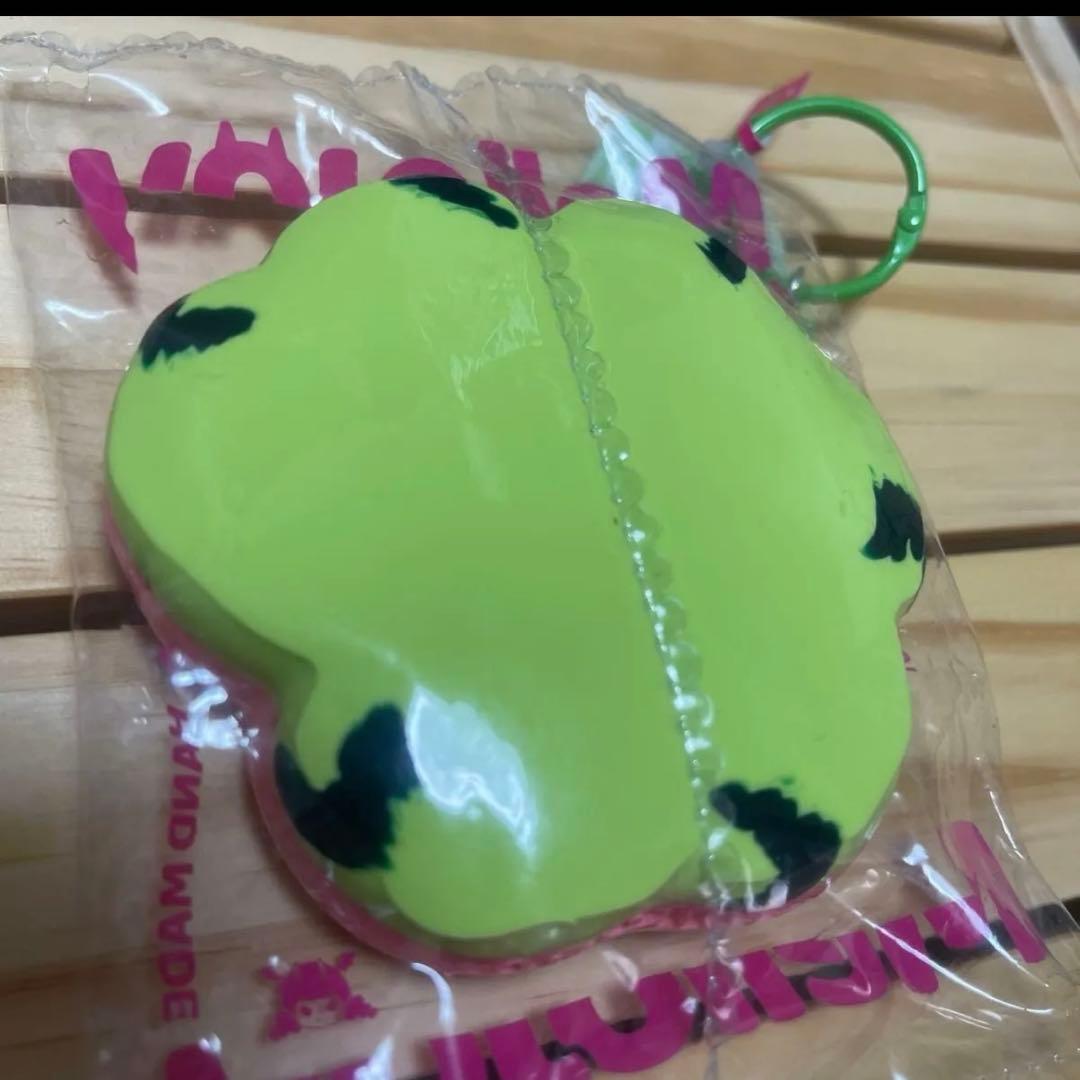 ま*さ様 mellojoy 猫爪　もふもふ　すいか　茶トラ