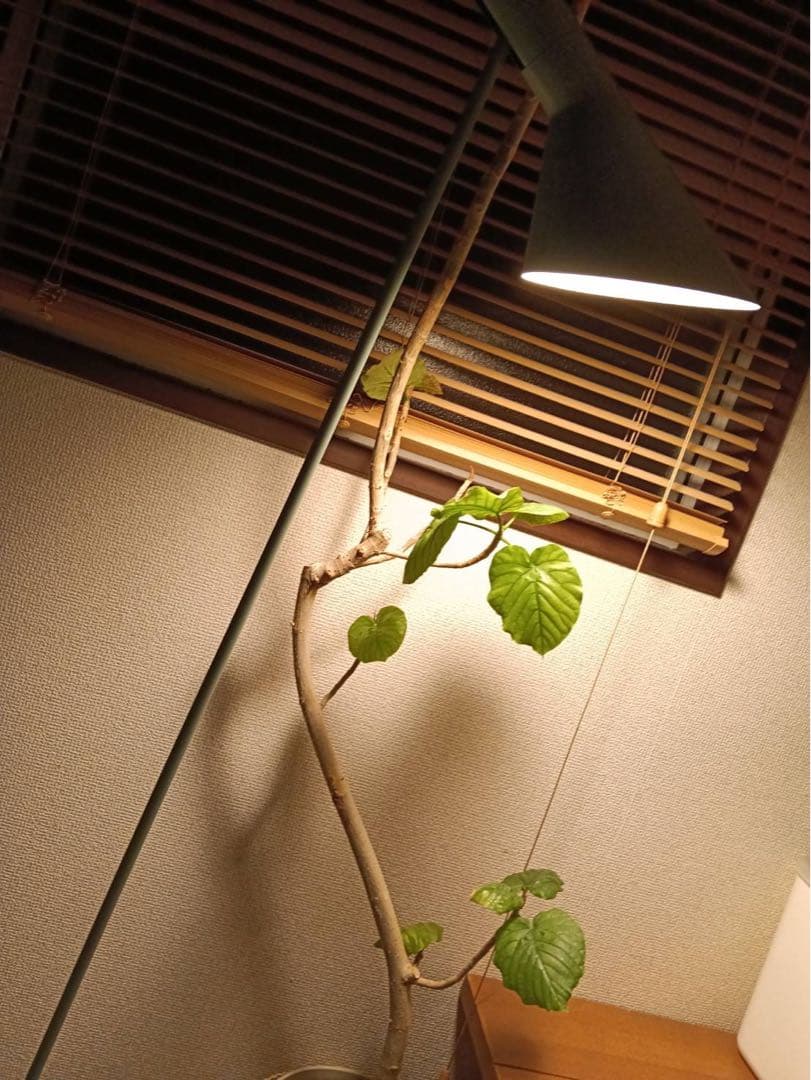 【超美品】Louis Poulsen AJ フロアランプ ルイスポールセン