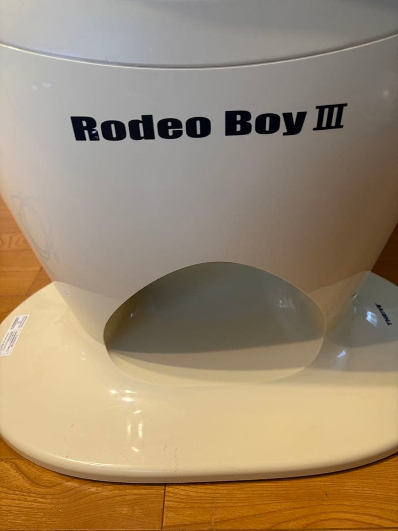 その他 Rodeo Boy III