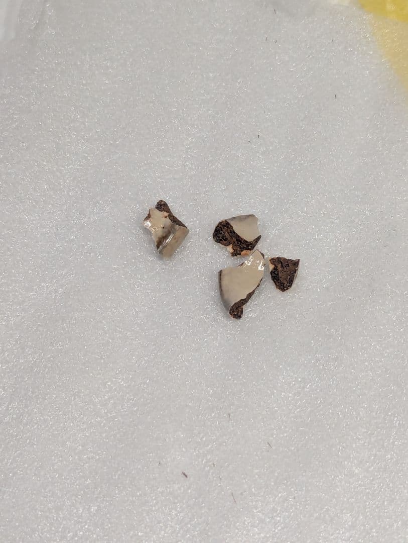 杉本玄覚貞光　粉引徳利