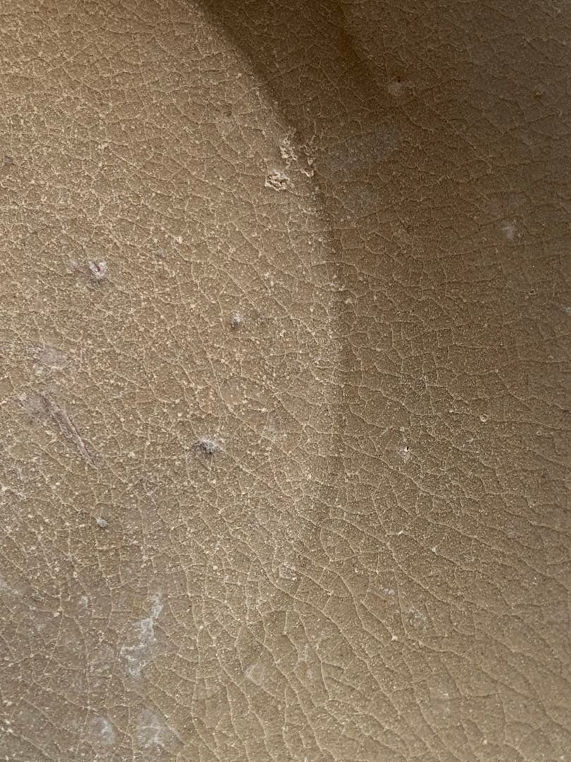 中国宋時代竜泉青磁お皿