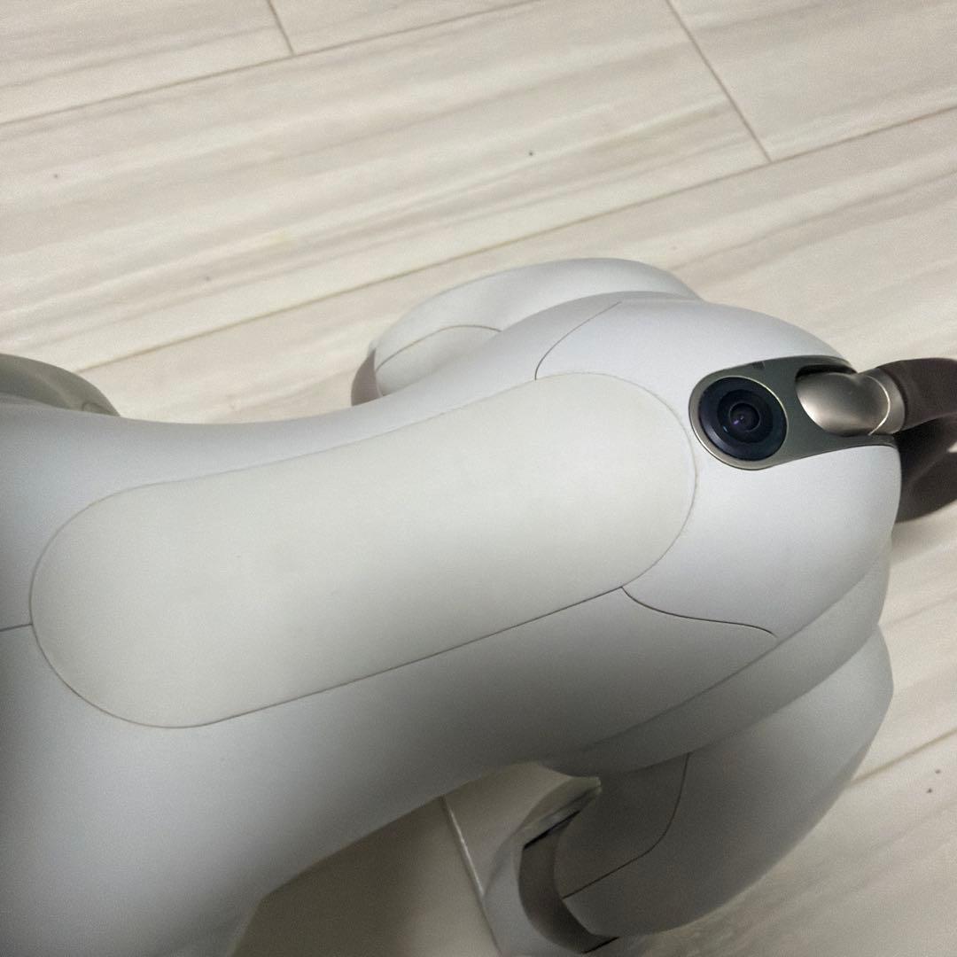 SONY　aibo アイボ ペットロボット 家電 ERS-1000 【中古】