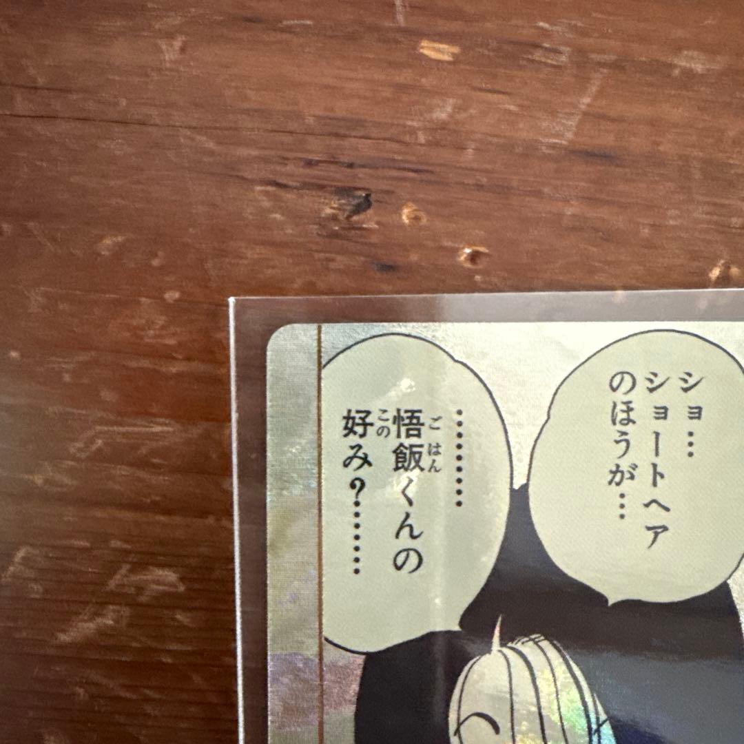 APT-024 ビーデル　パラレル　ダイバーズ