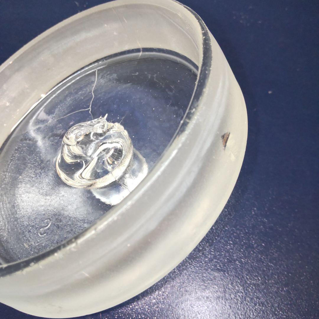 標本瓶 特大 希少 ガラス製 レトロ アンティーク インテリア