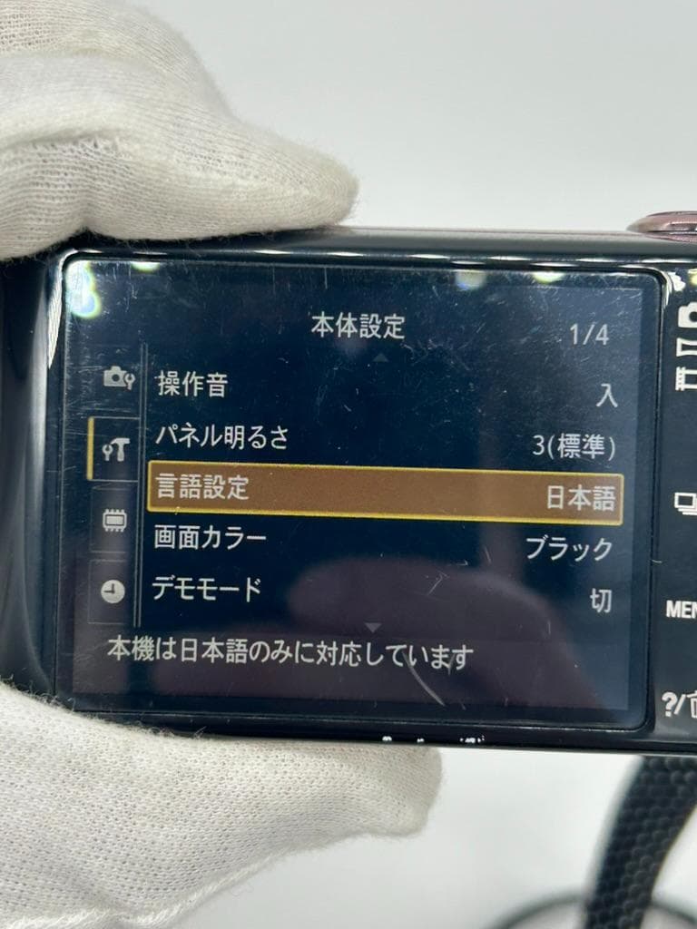 デジタルカメラ SONY Cyber-shot DSC-WX100 18.2MP #23