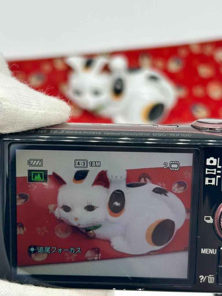 デジタルカメラ SONY Cyber-shot DSC-WX100 18.2MP #23
