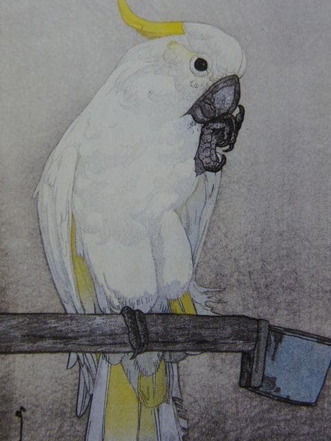 吉田博、きばたん　あうむ、希少な額装用画集より、新品高級額装付、状態良好