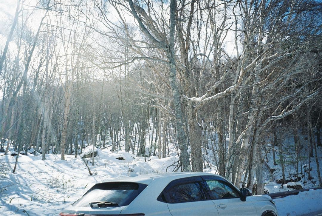 【撮影済み・美品】Canon Autoboy 120 コンパクトフィルムカメラ