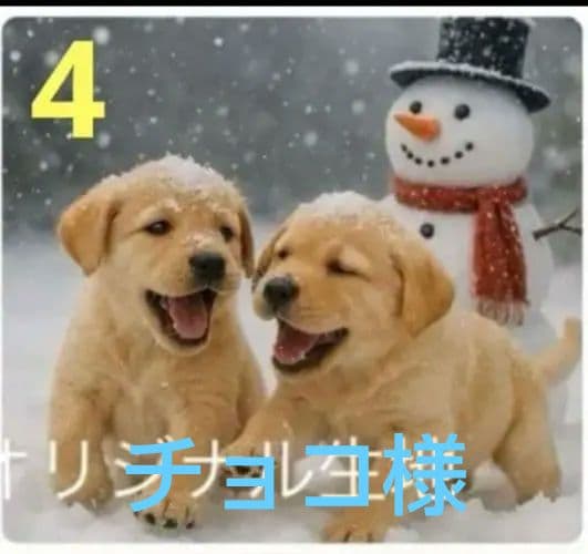 ご確認用　りんりん様パネル　ハンドメイド　11/29