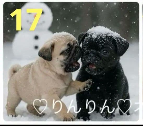 ご確認用　りんりん様パネル　ハンドメイド　11/29