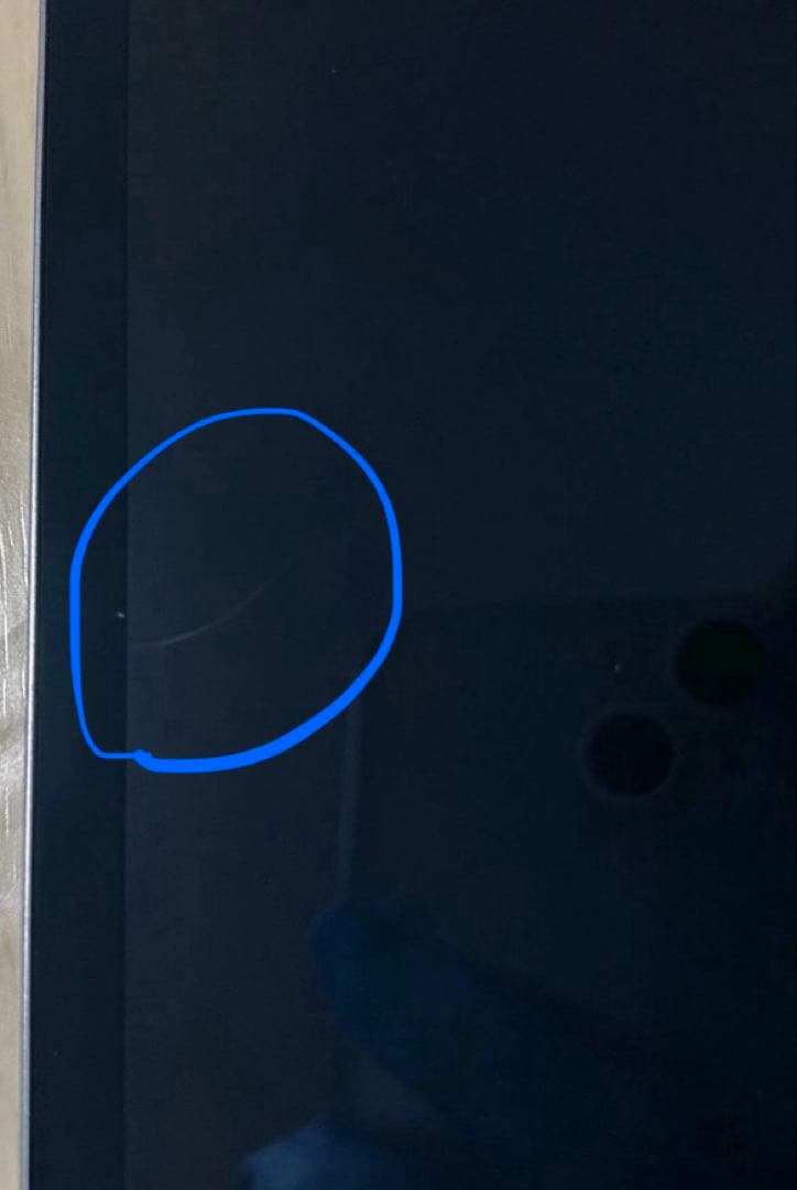 iPad Pro (12.9) 第4世代 128GB バッテリー最大容量96%