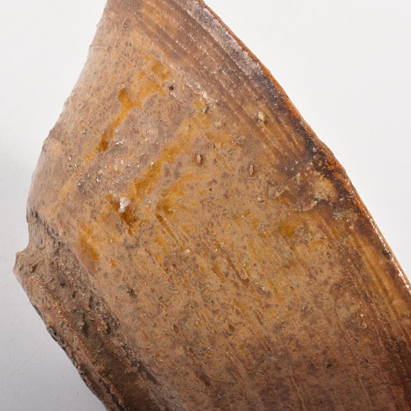 朝鮮美術　李朝　黄伊羅保茶椀　時代箱　N　6700