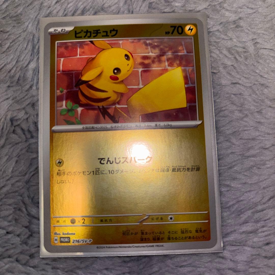 パ*P様 ポケモンカード10枚セット。引退品。