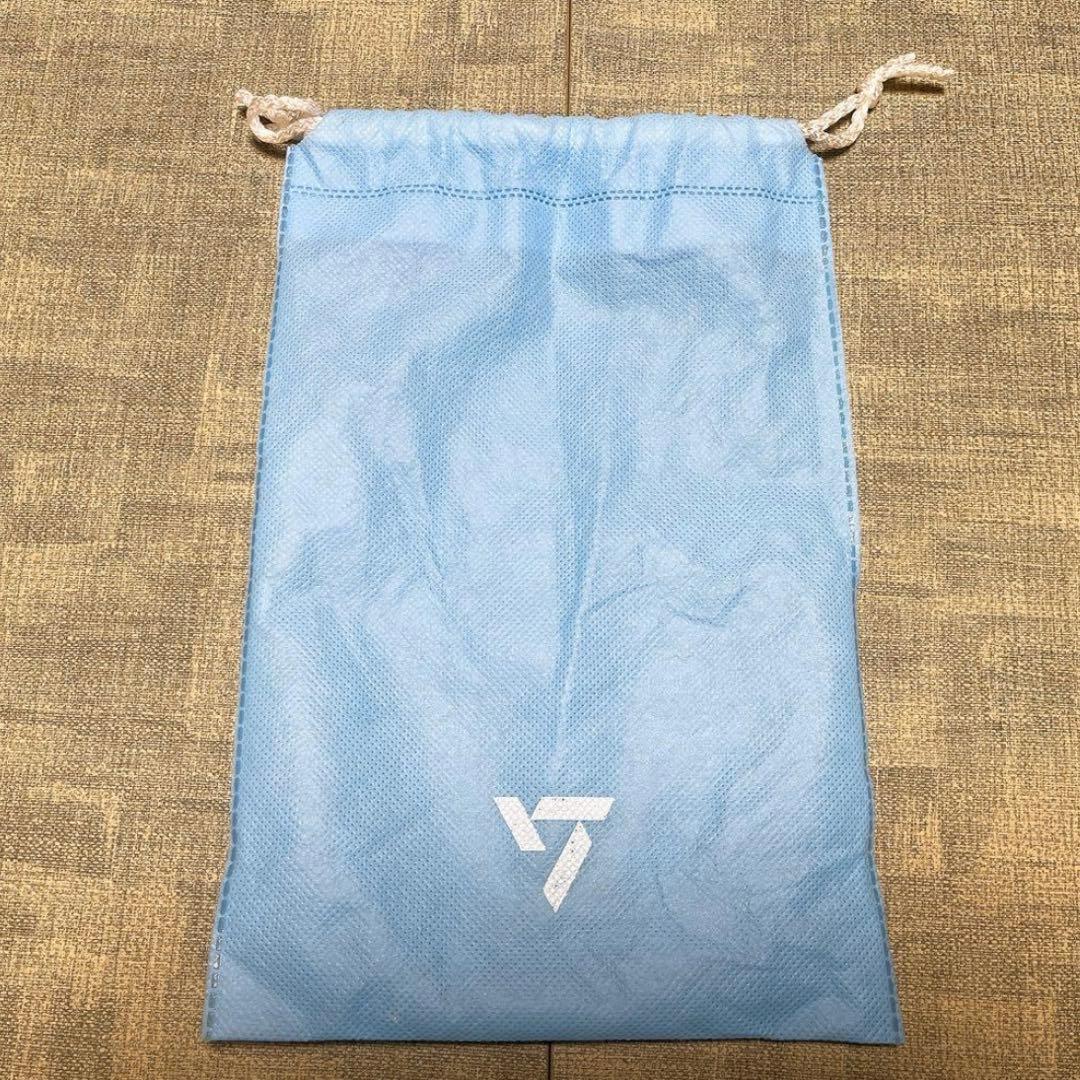 SEVENTEEN セブチ ペンライト VER.2＆VER.3＆ストラップ