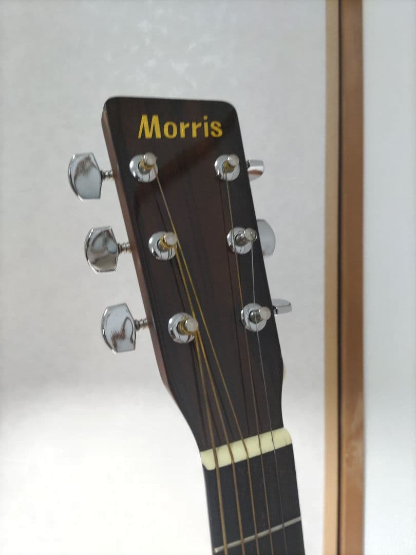MORRIS モーリス MD-502 TS アコースティックギター