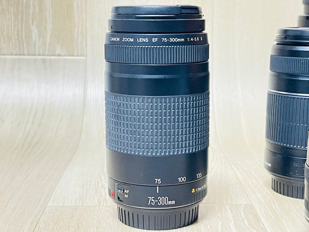 Canon レンズセット 55-250mm 50mm など