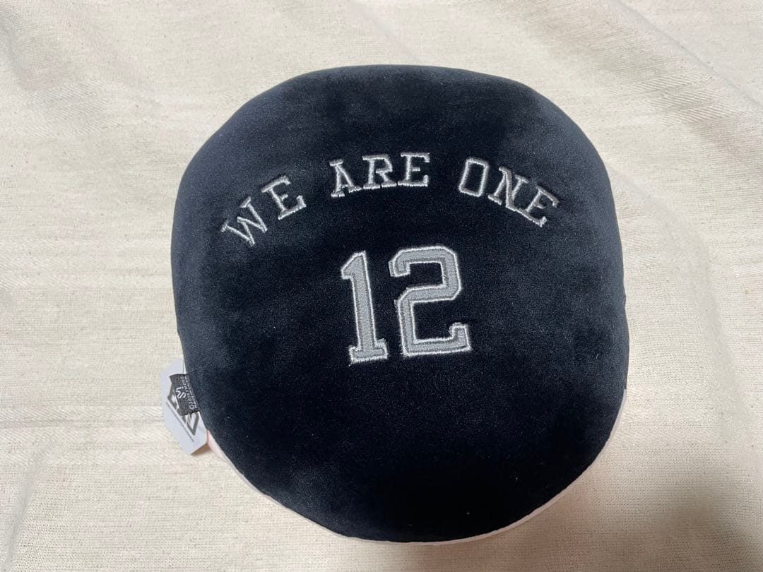 ＊EXO D.O. キャラクタークッション＊