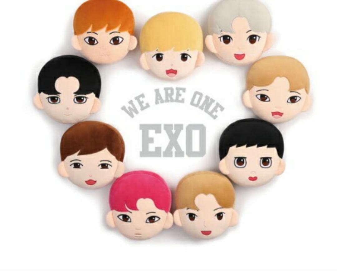 ＊EXO D.O. キャラクタークッション＊