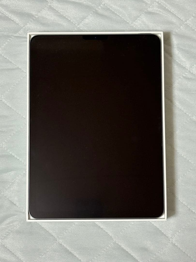 ぴいさん専用 iPadAir4 第4世代 WI-FI 256GB スペースグレー