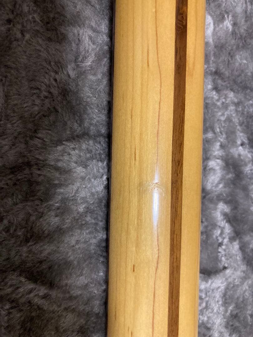 FUJIGEN NST200R/AL ダンカンSSL-1搭載 ラッカー上位モデル