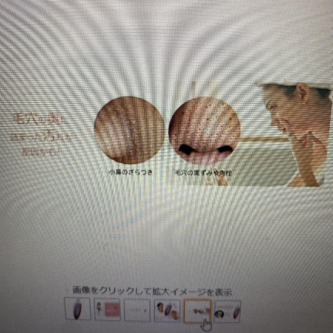 ミーゼ ダブルピーリングプレミアム MS40P 未使用大特価