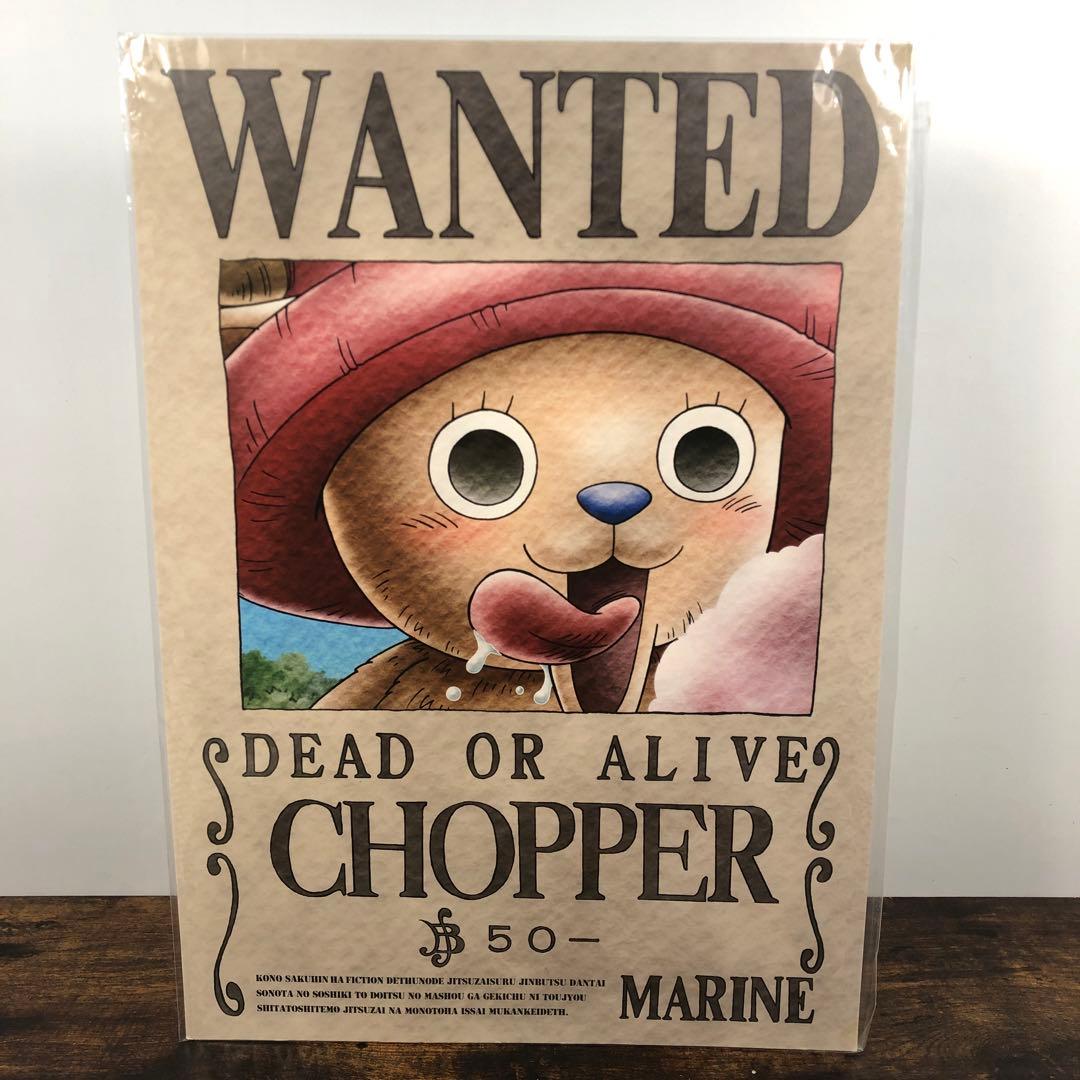 未開封 ONE PIECE 海軍発行 公式手配書 11枚セット バラ売り不可