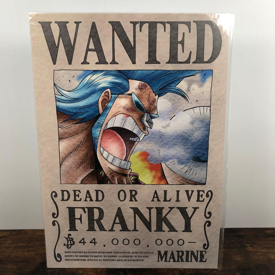 未開封 ONE PIECE 海軍発行 公式手配書 11枚セット バラ売り不可