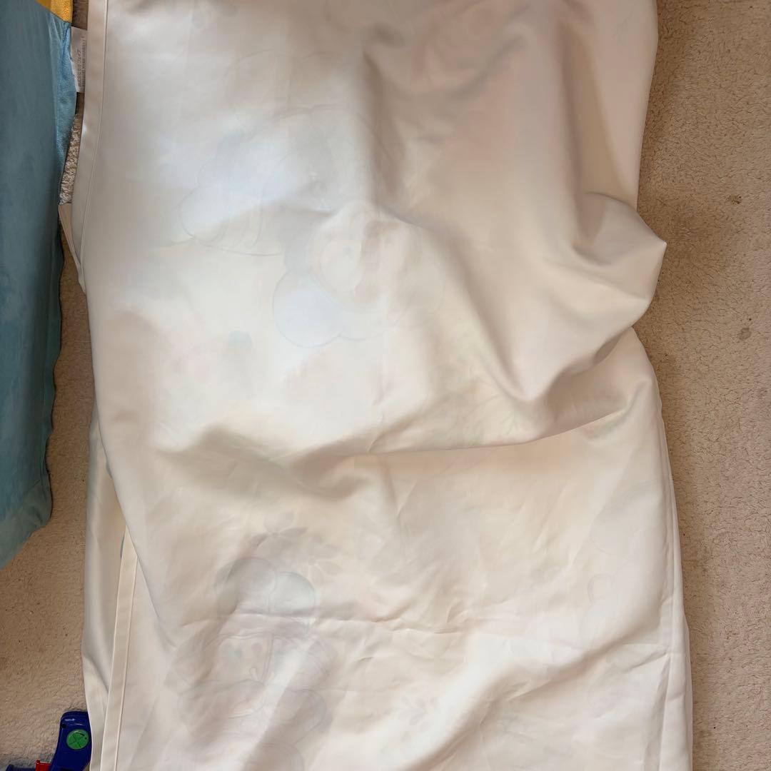 ディズニーリゾート　ビューティフルレイニーデイズ　カーテン　ダッフィー