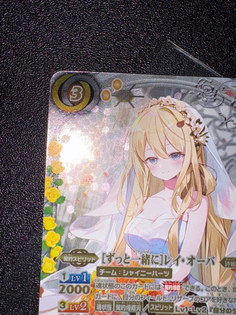 ずっと一緒に　レイ・オーバ