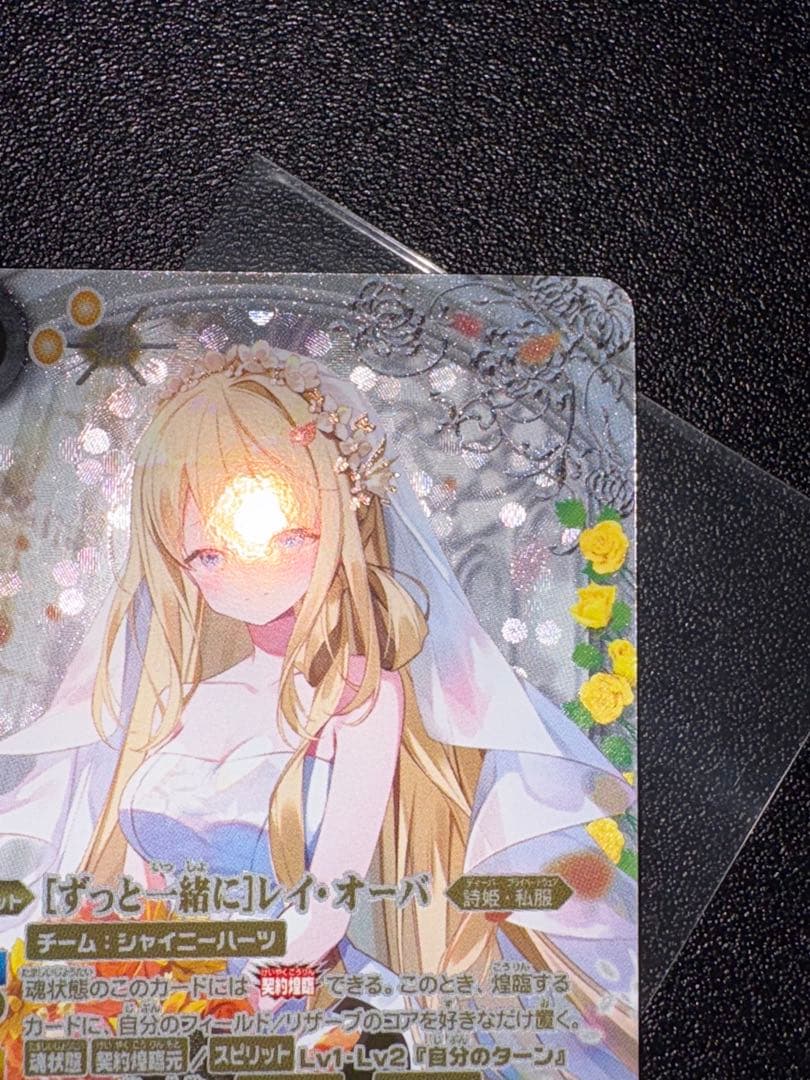 ずっと一緒に　レイ・オーバ