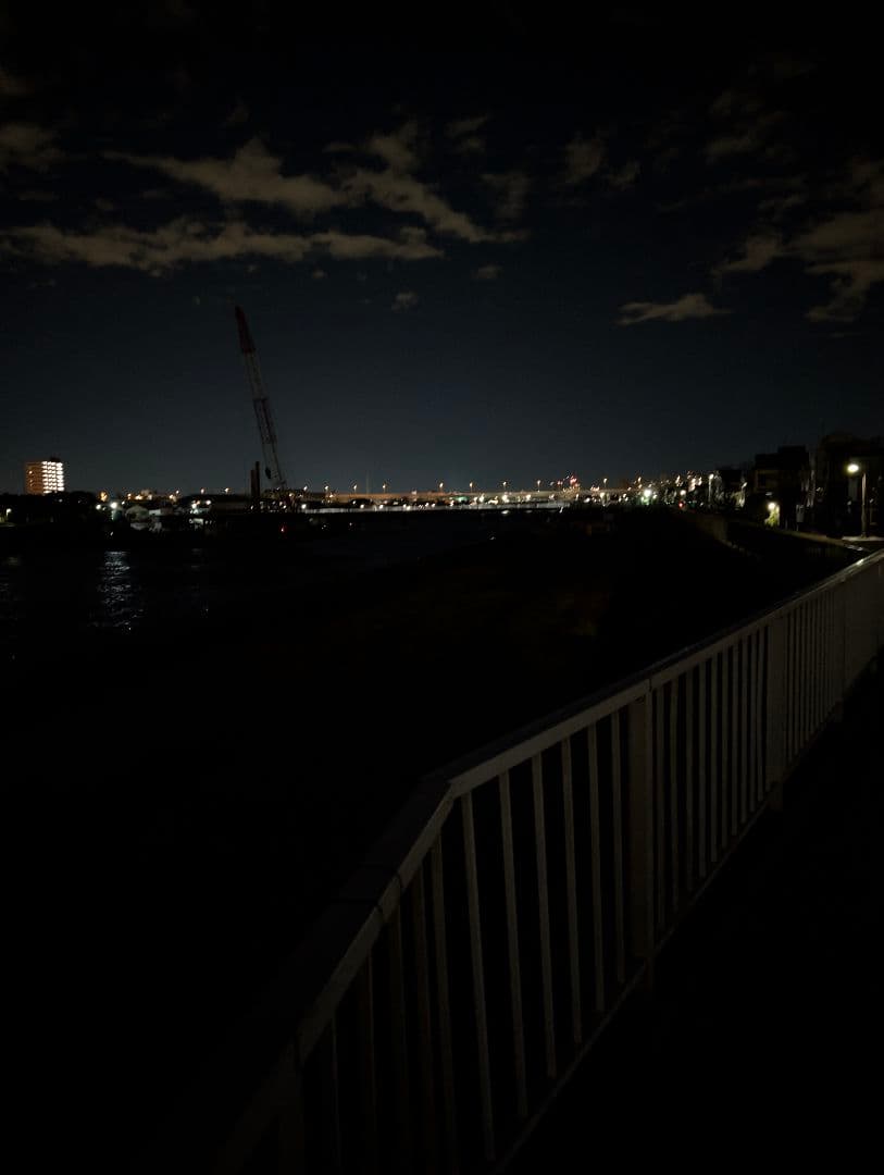 給料日セール【新品】ナイトビジョン　DIBULO NVG3rd