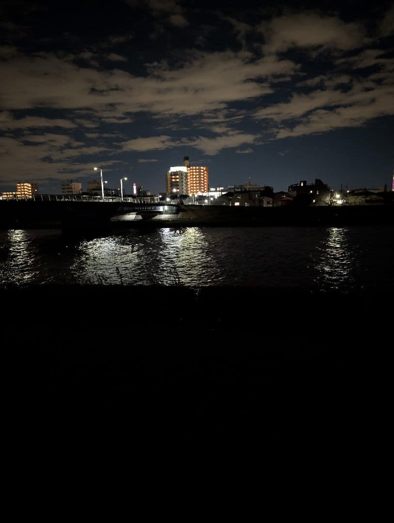 給料日セール【新品】ナイトビジョン　DIBULO NVG3rd