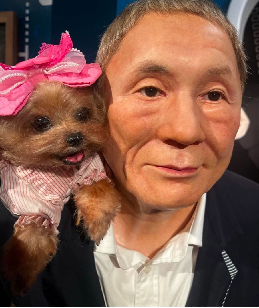 愛犬 アートドール ぬいぐるみ オーダーメイド