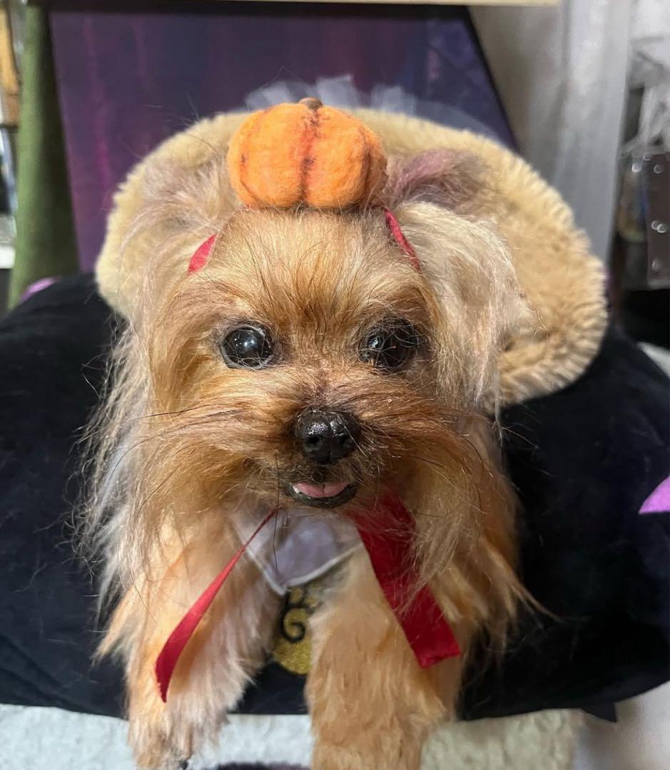 愛犬 アートドール ぬいぐるみ オーダーメイド
