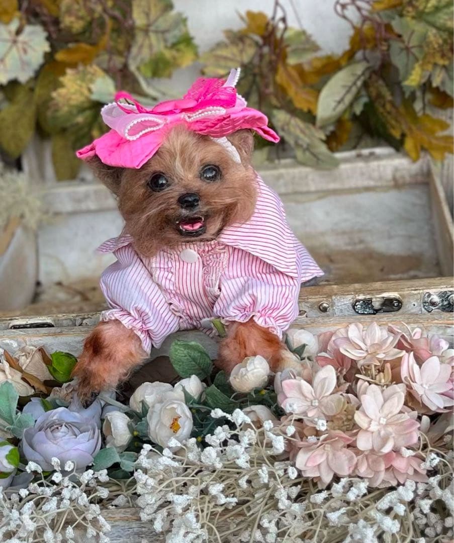 愛犬 アートドール ぬいぐるみ オーダーメイド