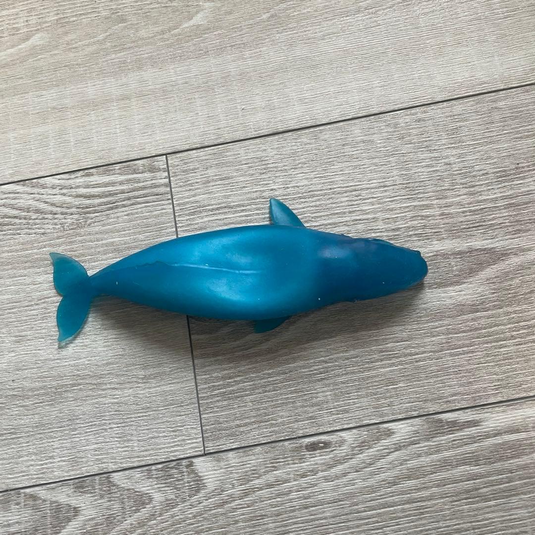 くじら＆Co. ビッグ　セット