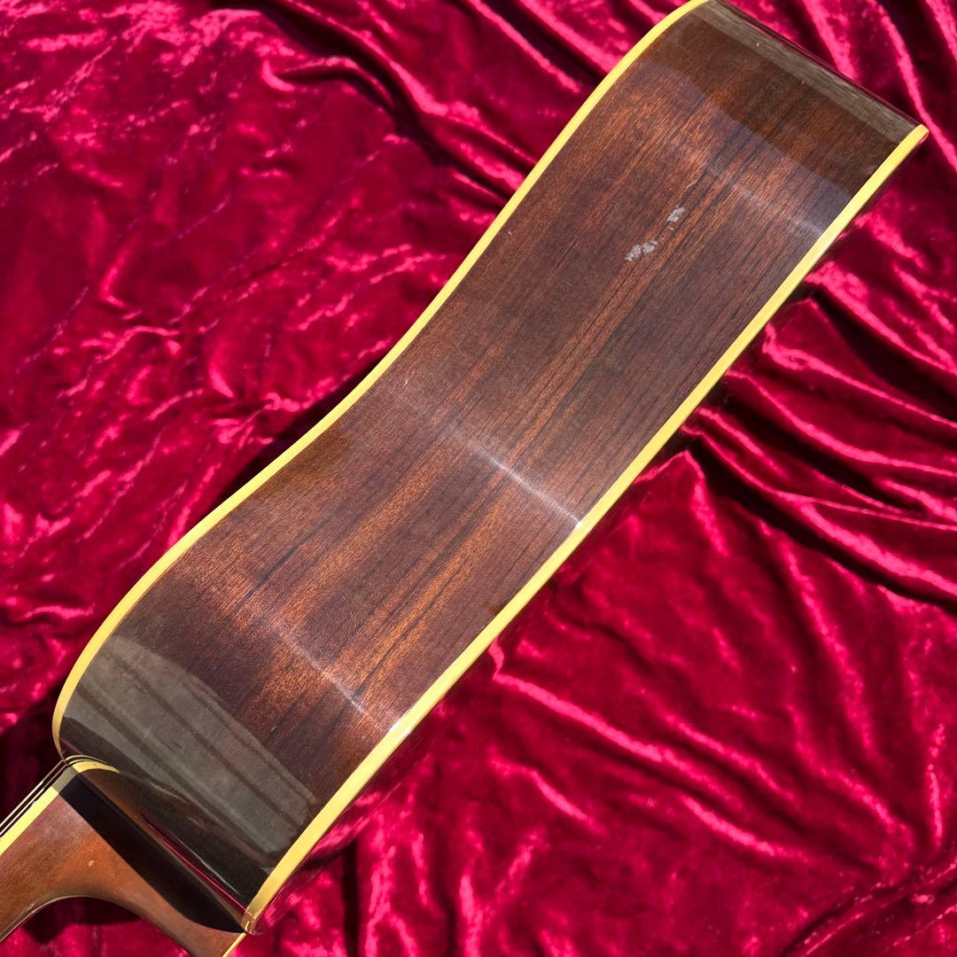 新品弦交換済 TOKAI CAT'S EYES CE-320D アコースティック